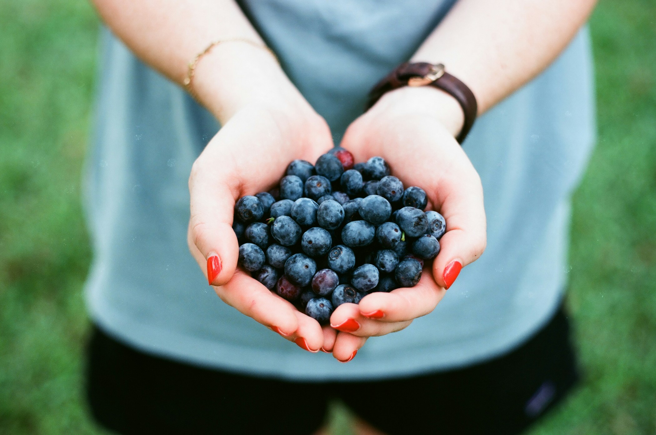 Handful of Blueberries