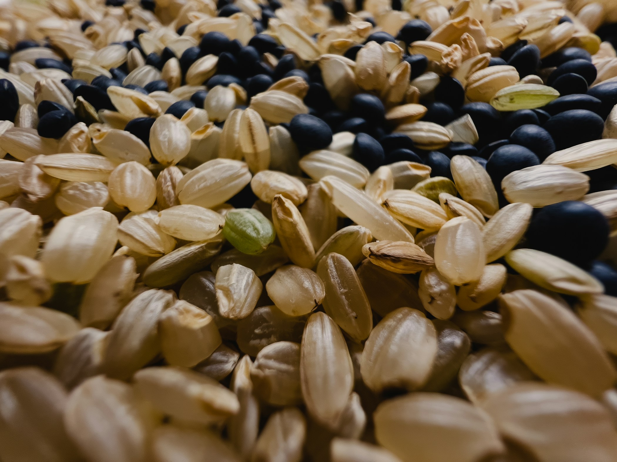 Brown rice and black lentils