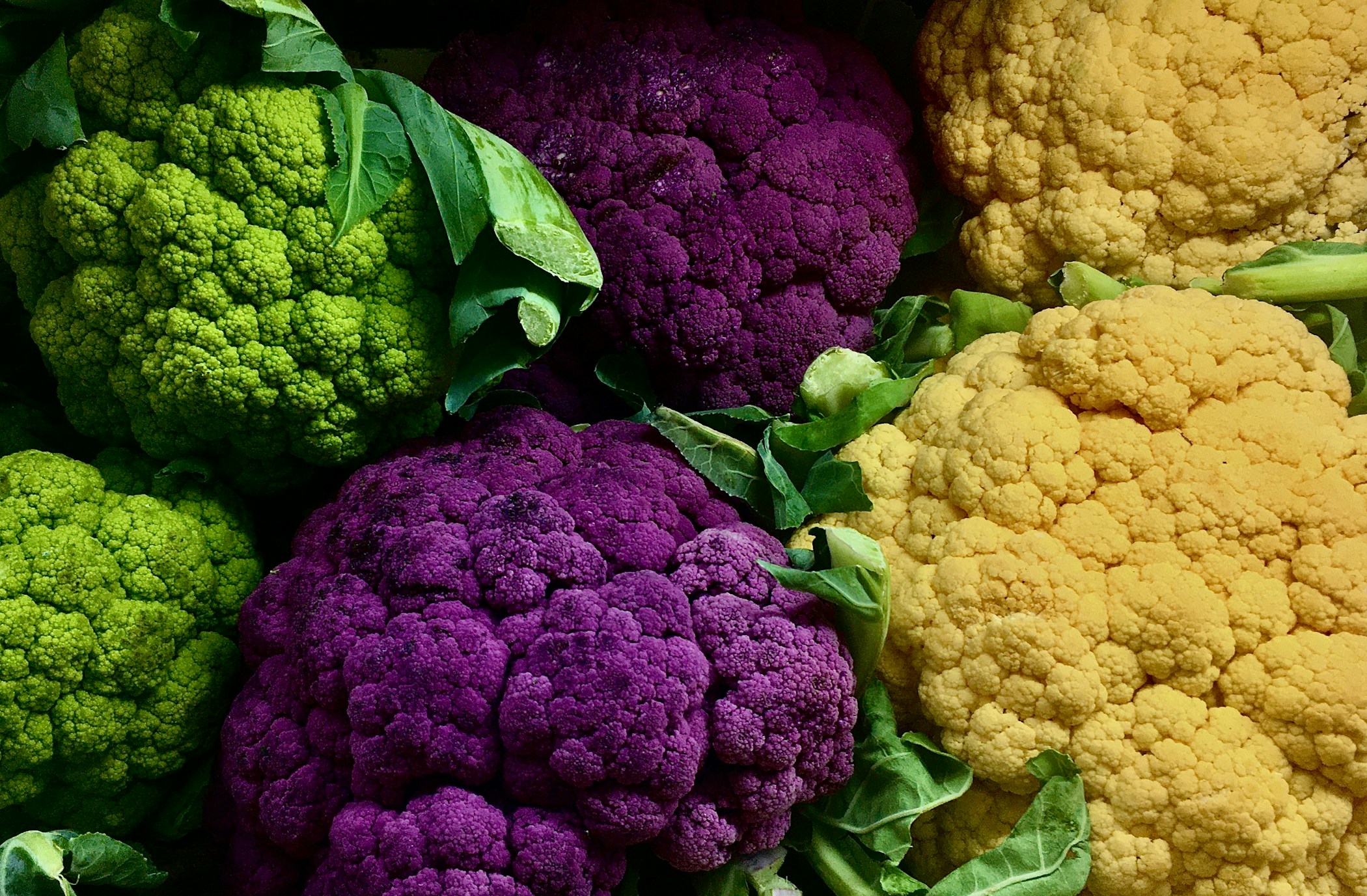 Green, purple, yellow cauliflowers