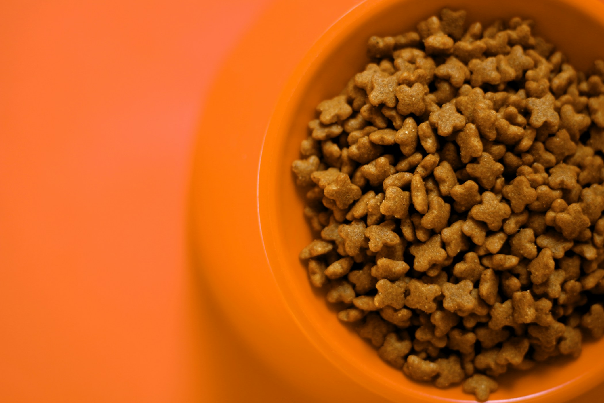 Dog and cat food closeup background