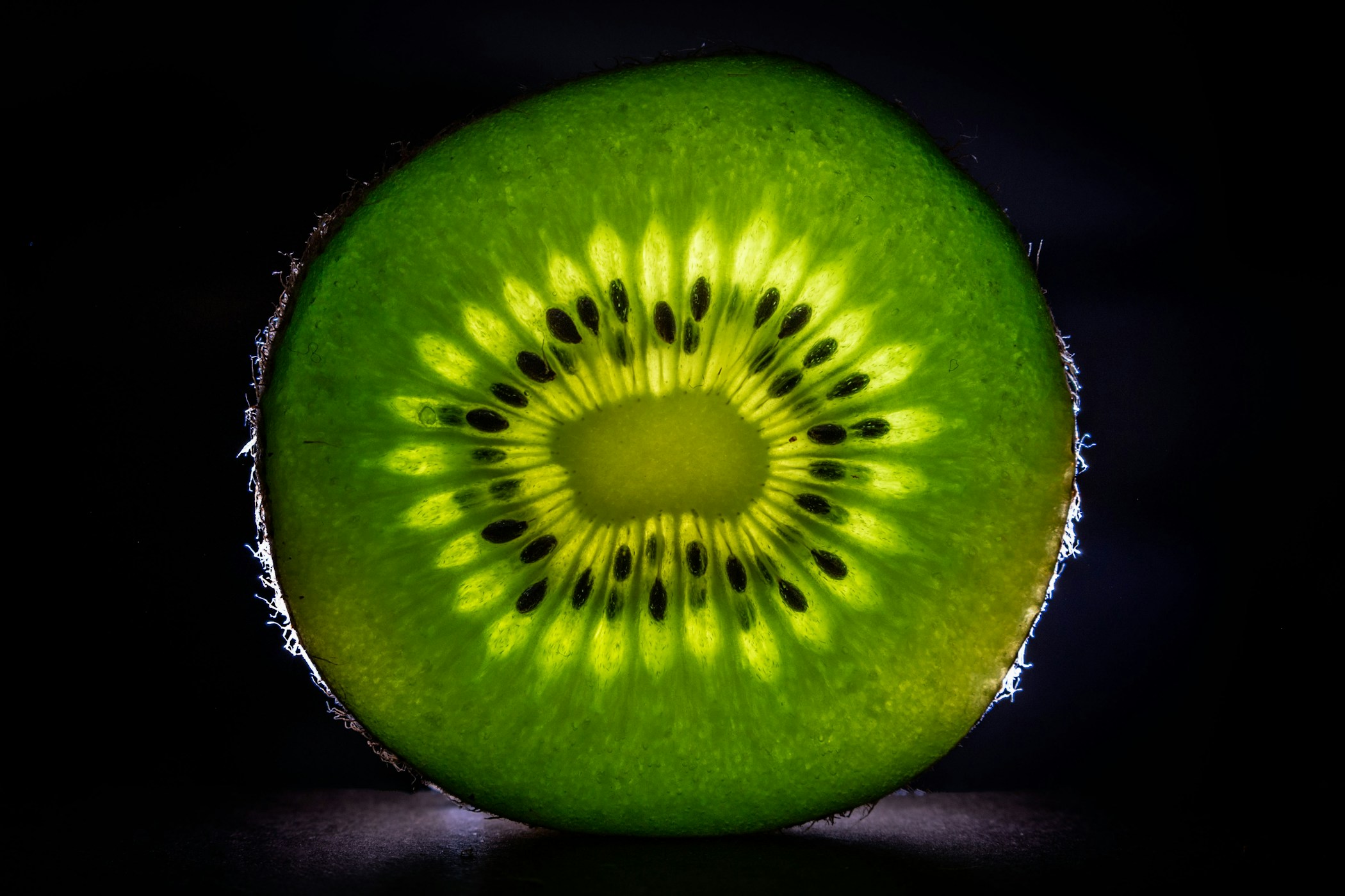 Slice of kiwi fruit lit from back