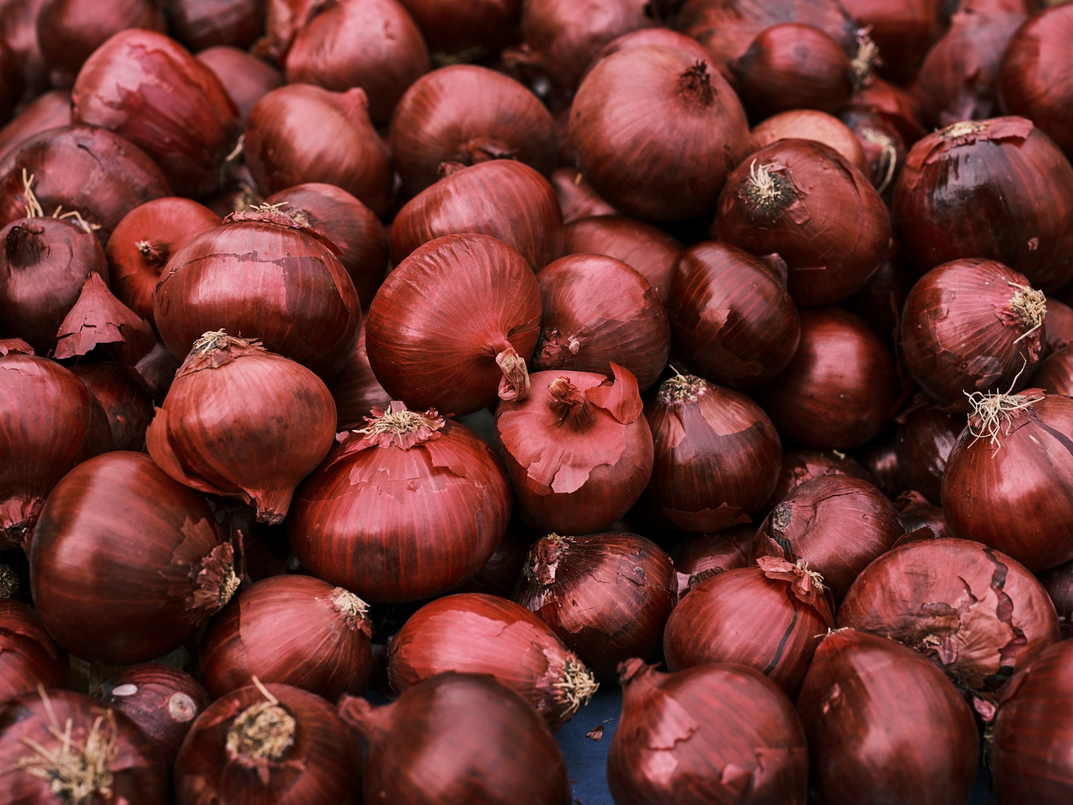 Onions in a market