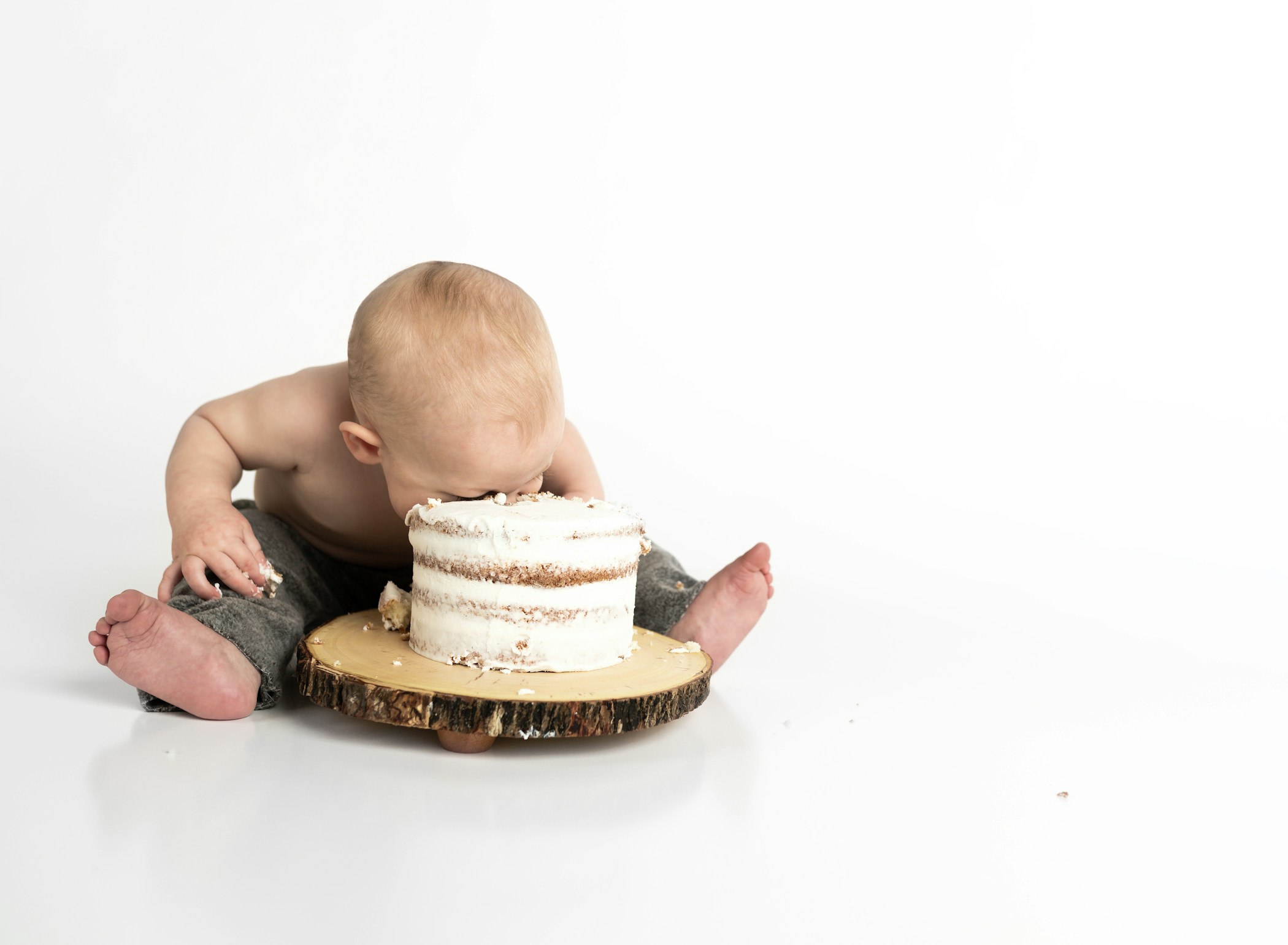 A minimalistic background showcasing a cake and a dog, suggesting safe food environments