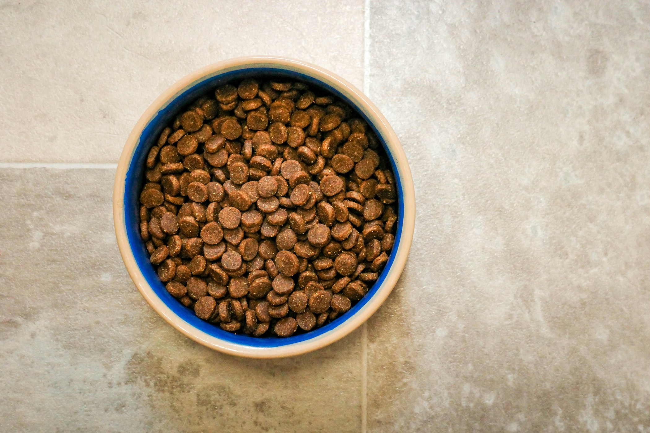 A bowl of ACANA dog food in a blue ceramic bowl