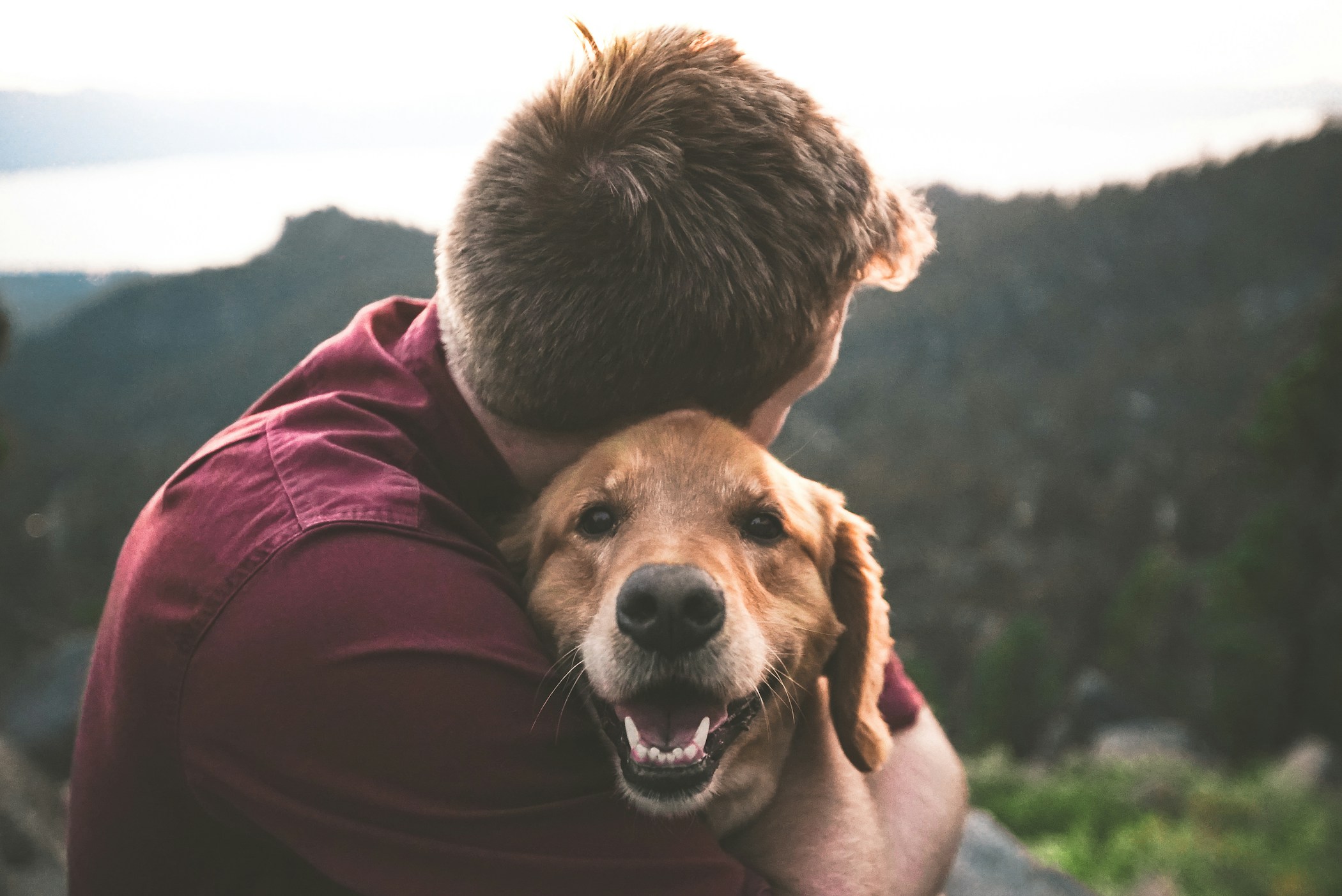 Happy Doggo