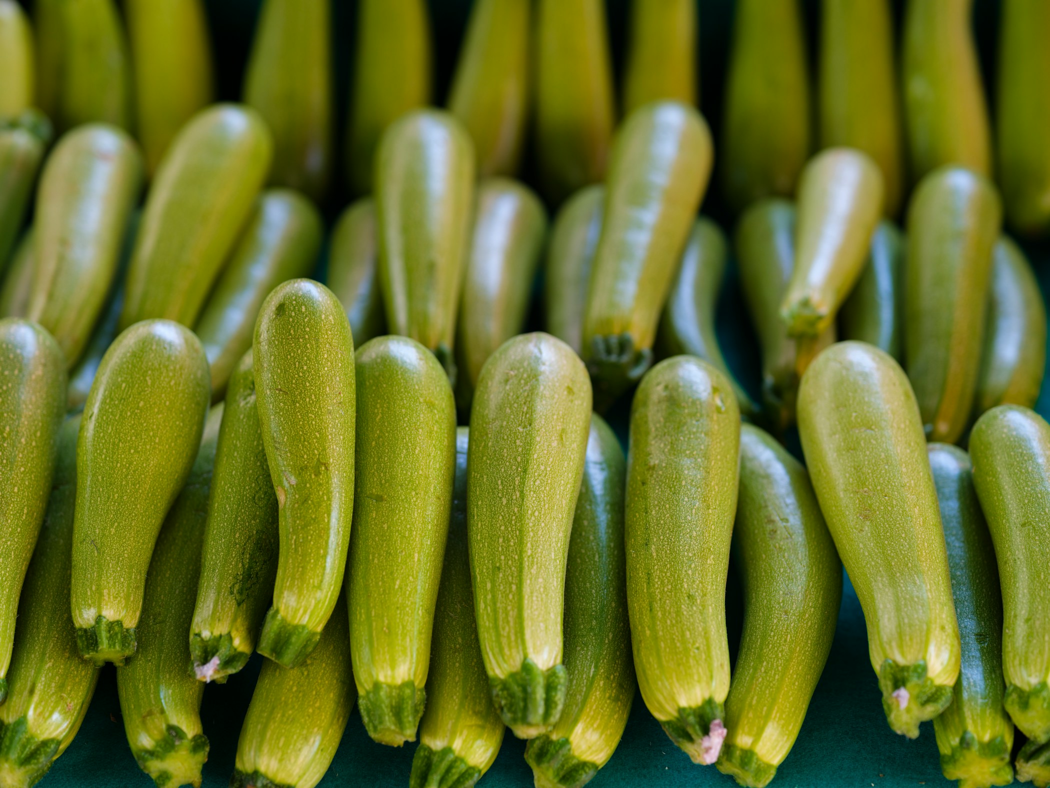 fresh zucchini at the market